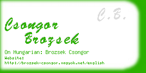 csongor brozsek business card